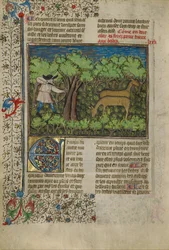 An Archer Shooting at Deer